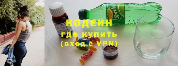 шишки Заволжск