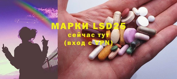 ECSTASY Инсар