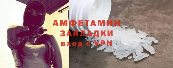 шишки Заволжье