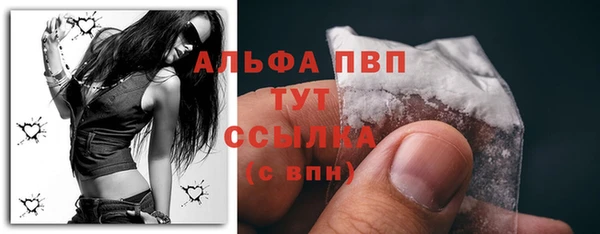 ECSTASY Инсар