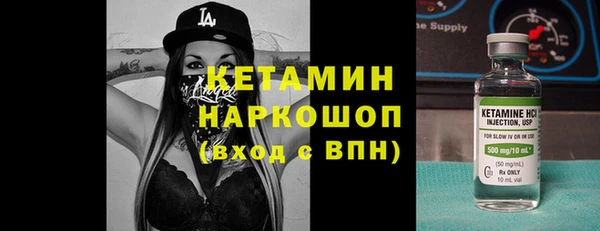шишки Заволжье
