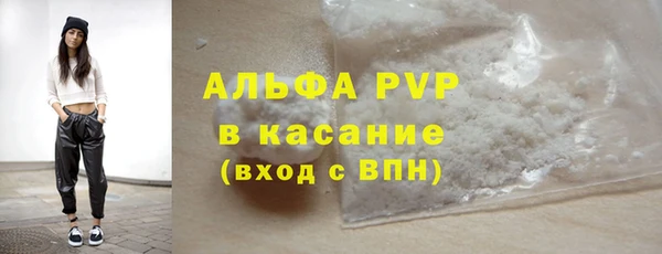 шишки Заволжье