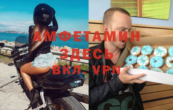 шишки Заволжск