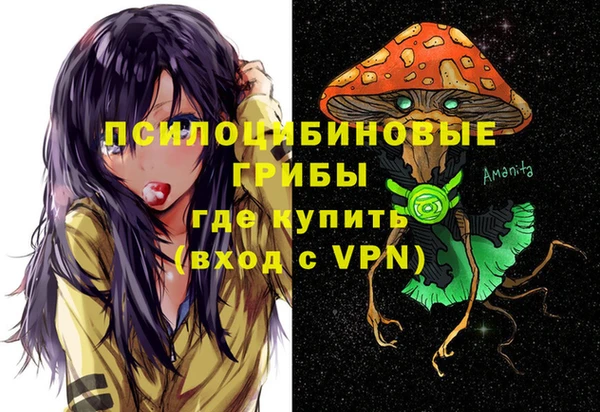 шишки Заволжье