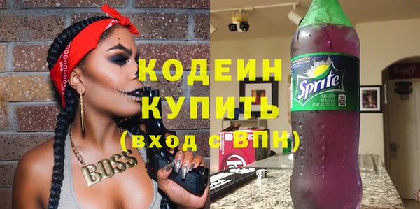 шишки Заволжье