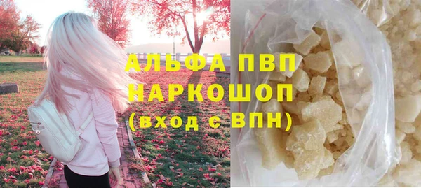 шишки Заволжье