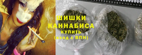 шишки Заволжье