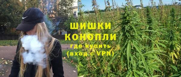 шишки Заволжск