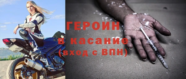 шишки Заволжье