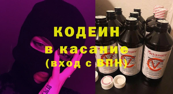 шишки Заволжск