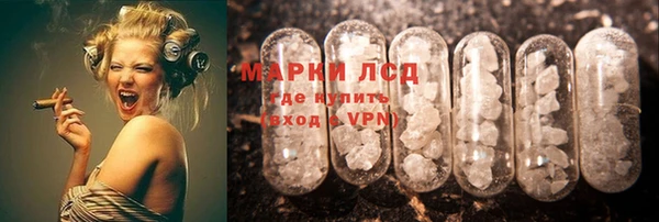 шишки Заволжск