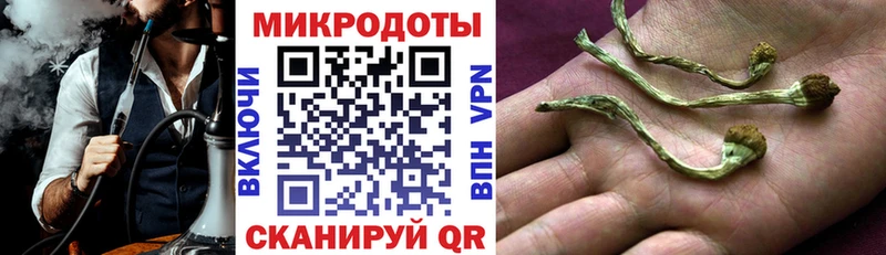 Псилоцибиновые грибы GOLDEN TEACHER  Купить закладки  Киреевск 